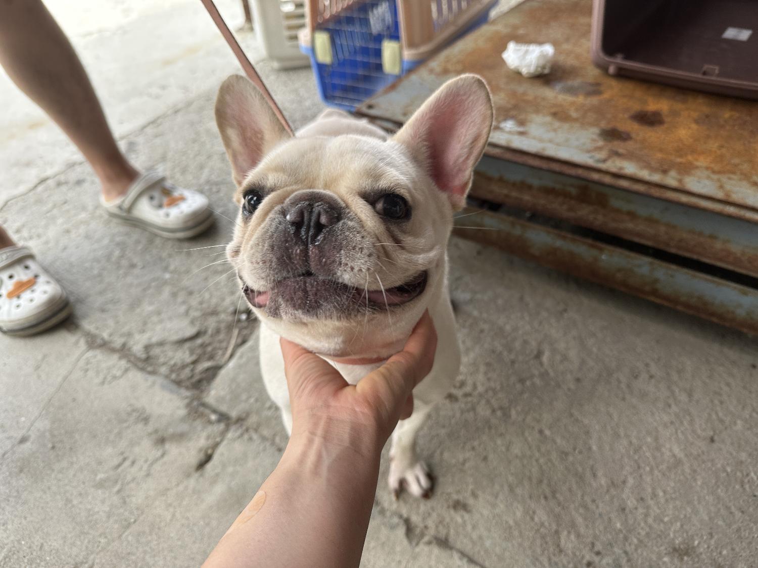 한국야생동물보호협회_441393202301197